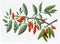 Goji Medicinal Plant, Lycium Barbarum Botanical Illustration, Wolfberry Abstract Generative AI Illustration