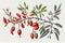 Goji Medicinal Plant, Lycium Barbarum Botanical Illustration, Wolfberry Abstract Generative AI Illustration