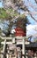 Goju-no-to pagoda and blooming sakura tree, Itsukushima Shrine, Miyajima Island, Japan