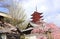 Goju-no-to pagoda and blooming sakura tree, Itsukushima Shrine, Miyajima Island, Japan