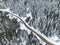 Golcuk - Bolu - Turkey, winter snow during snowfall. Travel concept drone photo. Highway, road in snowy tree landscape