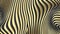 Gold abstract stripe pattern background. Optical illusion twisted lines and curves background. Abstract 3d animation. 4k