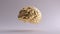 Gold Anatomical Brain