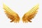 gold angel wings on a white background