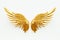 gold angel wings on a white background