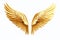 gold angel wings on a white background