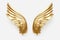 gold angel wings on a white background