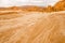 Gold arid desert landscape Sinai, Egypt