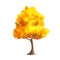 Gold Autumn Tree