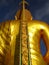 Gold Big Buddha Back