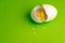 Gold Bitcoin coin in a broken egg. White eggshell with cryptocurrency symbol inside instead of yolk. Green background. Copy space