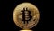A Gold bitcoin coin rotate on black background
