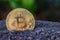 Gold Bitcoin coin on soil.