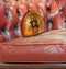 Gold bitcoin cryptocurrency lost down sofa armchair
