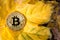 Gold bitcoin on fallen autumn foliage