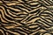 Gold and Black Tiger Design with Rich Texture