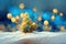 Gold and Blue Christmas Tree Glows Brightly On Snow Covered Foggy Christmas Morning.