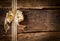 Gold bow on a grunge wood background