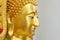 The gold buddha