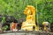 Gold buddha statue covered by seven naga style