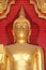 Gold Buddha statue have bird net protect