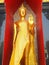 Gold buddha statue in public temple thailand