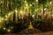 Gold Buddha statue under the tree at night lights