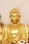 The gold Buddhist saint.