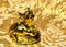 Gold bull figurine with coins on a gold background