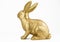 Gold bunny rabbit on white background