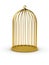 Gold cage