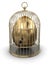 Gold Cage with Egg (clipping path included)