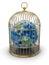 Gold Cage with Globe (clipping path included)