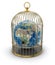 Gold Cage with Globe (clipping path included)