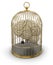 Gold Cage with Human brain (clipping path included)