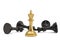 Gold chess king and black king isolated on white background 3D illustration