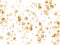 Gold chic seashells vector illustration, marine mollusks shells