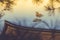 Gold Chinese phoenix bird on roof that covered white snow of Golden Pavilion at Kinkakuji Temple.