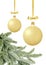 Gold Christmas balls with bow on ribbon and new year green tree