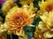 Gold Chrysanthemum