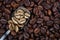 Gold coffee beans on a pile of coffee beans. The concept of luxury and originality. Golden coffee beans in a spoon. Coffee beans t