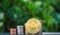Gold coin bitcoin against the background of a green background
