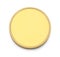 Gold Coin Blank