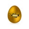 Gold coin in cracked golden egg