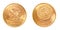 Gold coin of Mexiacan Pesos
