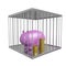 Gold Coins and Piggy Bank in a Cage
