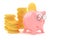 Gold coins and piggy bank concept of business success and income profit