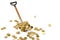 Gold coins on shovel on white background 3D illustration.