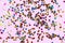 Gold colorful confetti on light background. Festive backdrop of sparkles for birthday, carnival