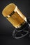 Gold condenser microphone on black